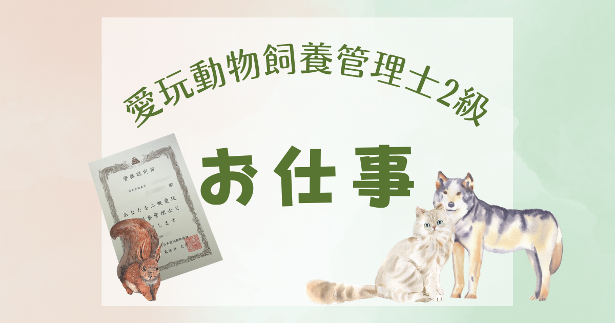 令和最新!愛玩動物飼養管理士2級 に最短14日で合格する方法