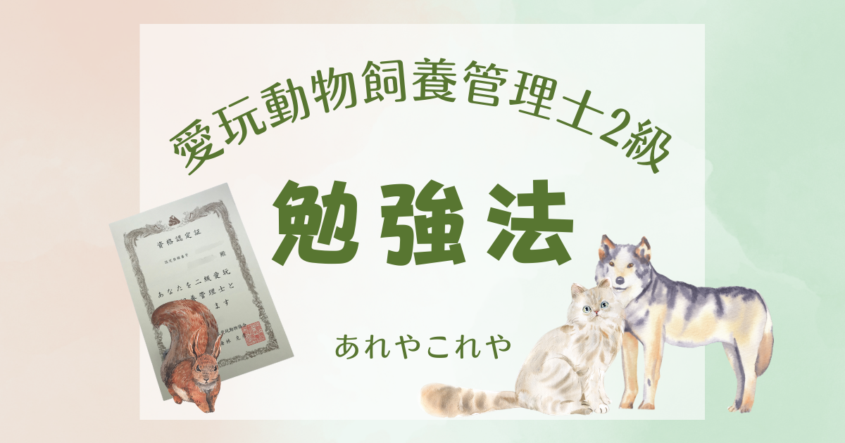 人生激変】愛玩動物飼養管理士2級に14日間で合格できた楽しい勉強法と