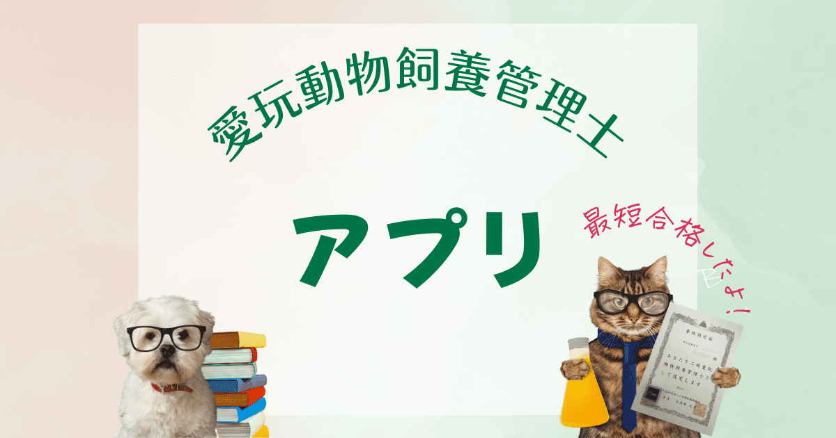 愛玩動物飼養管理士・アプリを使った決定的な攻略方法は?【大人気】 - 令和最新!愛玩動物飼養管理士に14日間最短で合格する方法【保存版】